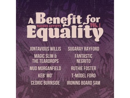 VARIOUS ARTISTS - Benefit For Equality Vol. 1 (LP)