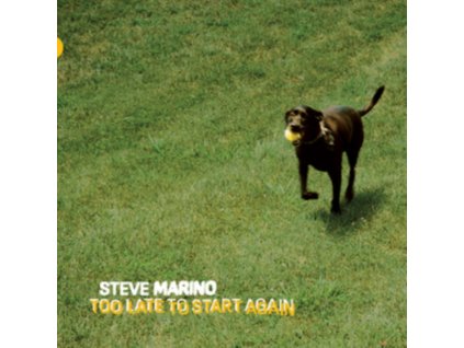 STEVE MARINO - Too Late To Start Again (LP)