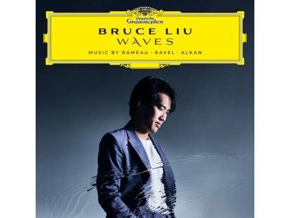 3102915 bruce liu waves lp