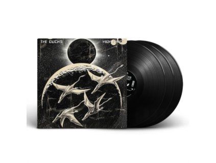3103293 ducks high flyin lp