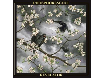 PHOSPHORESCENT! - Revelator (LP)