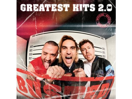BUSTED - Greatest Hits 2.0 (LP)