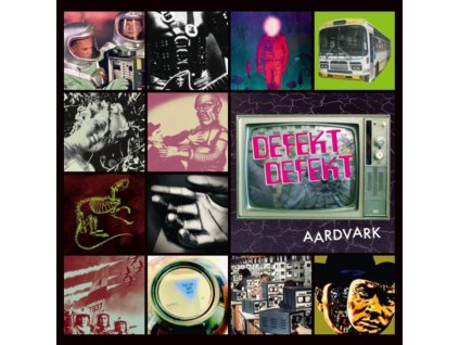 DEFEKT DEFEKT - Aardvark (LP)