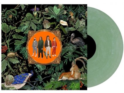 DON BROCO - Amazing Things (Green Marble Vinyl) (LP)