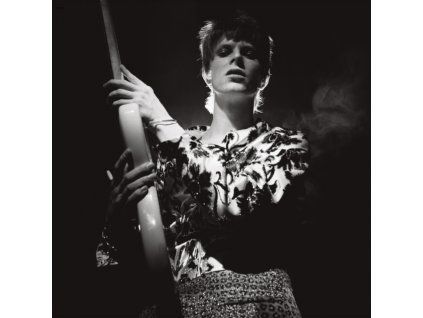 3141374 david bowie rock n roll star half speed master lp