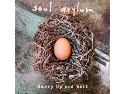 SOUL ASYLUM - Hurry Up And Wait (LP)