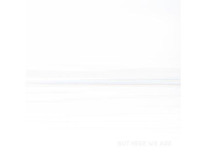 3235353 foo fighters but here we are lp