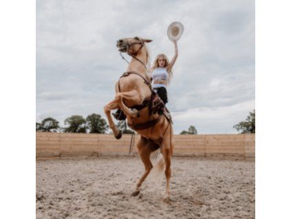 3278480 janet devlin emotional rodeo lp