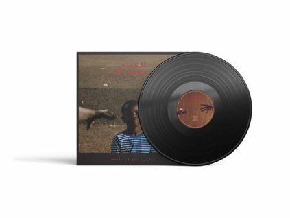 3342965 michael kiwanuka small changes lp