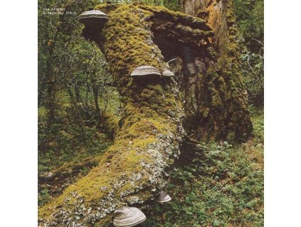 Jan Jelinek - Kosmischer Pitch (Reissue) (LP)