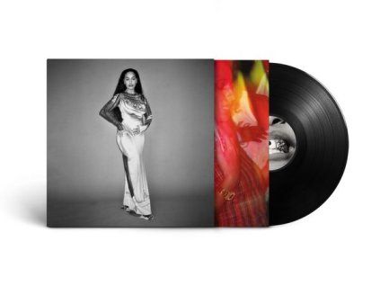 3682142 smith jorja falling or flying lp