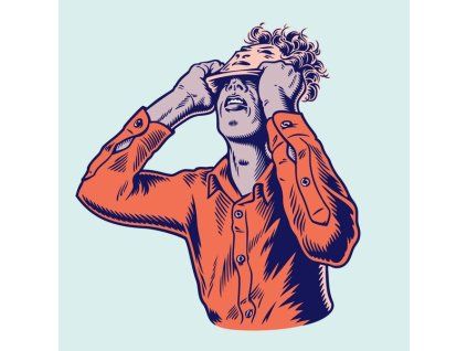 3800516 moderat ii lp