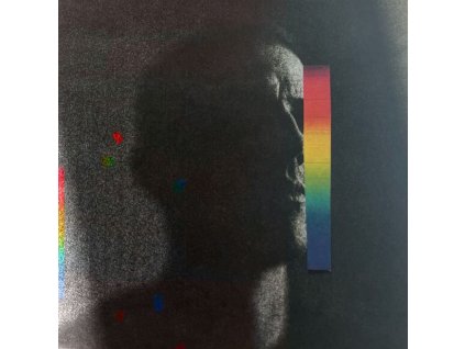 Charlie Cunningham - In Light (LP)