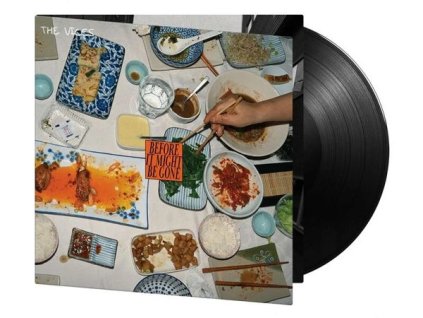 Vices - Before It Might Be Gone (180g) (LP)