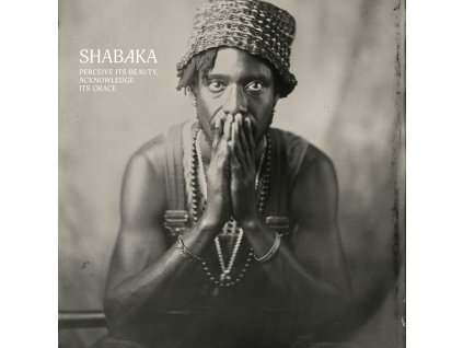 Shabaka Hutchings (Shabaka) - Perceive Its Beauty, Acknowledge Its Grace (LP)