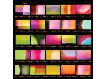 Wendy Eisenberg - Viewfinder (LP)