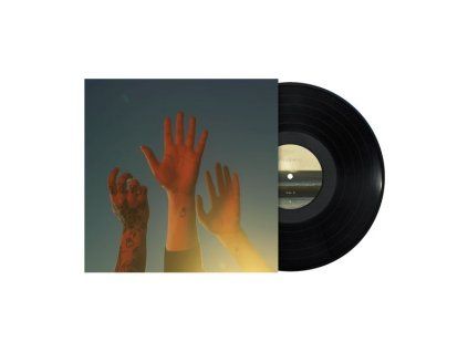3925679 boygenius the record lp
