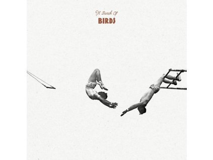 A Bunch Of Birds - A Bunch Of Birds (Limited Numbered Edition) (LP)