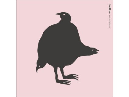 Ane Brun - Rarities 2 (180g) (LP)