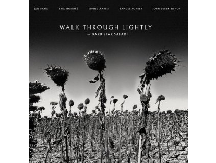 Dark Star Safari (Jan Bang, Erik Honoré & Samuel Rohrer) - Walk Through Lightly (LP)