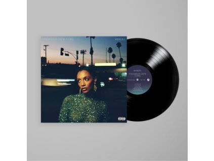 Mereba - The Breeze Grew A Fire (LP)