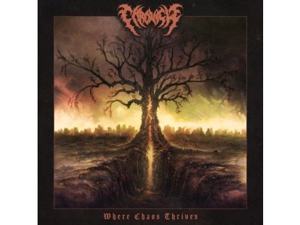 CHRONICLE - WHERE CHAOS THRIVES (LP)