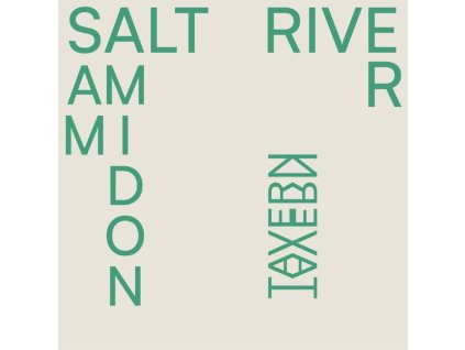 Sam Amidon - Salt River (LP)