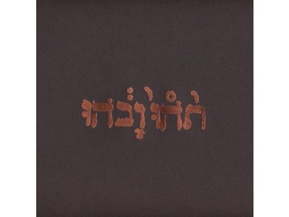 Godspeed You! Black Emperor - Slow Riot For New Zero (LP)