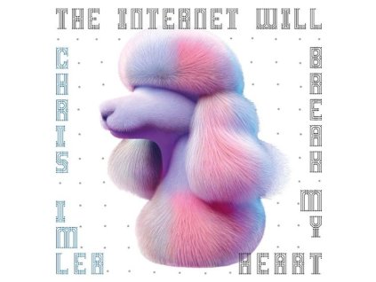 IMLER,CHRIS - INTERNET WILL BREAK MY HEART (LP)