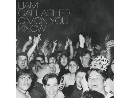 4060835 liam gallagher c mon you know lp