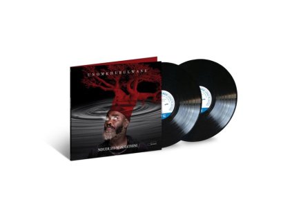 Nduduzo Makhathini - uNomkhubulwane (180g) (LP)