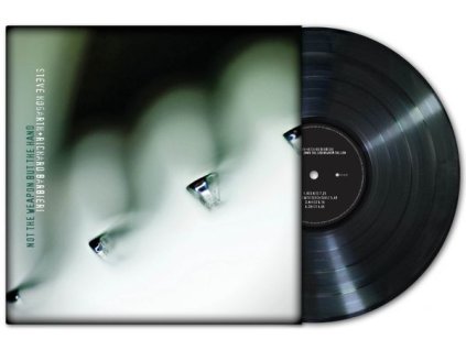 Steve Hogarth & Richard Barbieri - Not The Weapon But The Hand (LP)