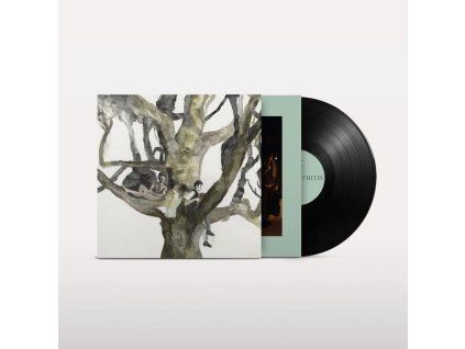 4069976 destroyer labyrinthitis lp