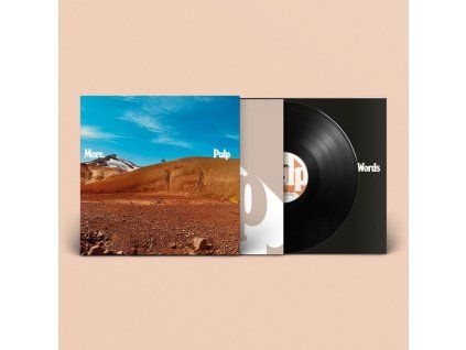 4073669 pulp more lp