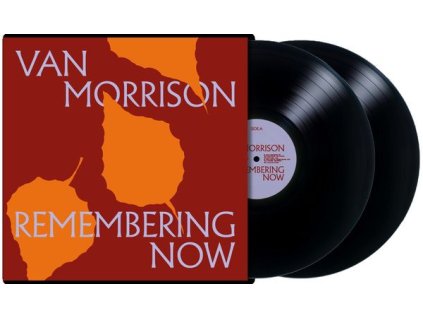 Van Morrison - Remembering Now (LP)