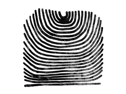 Rival Consoles - Howl (Limited Edition) (Clear Vinyl) (RSD 2025) (LP)