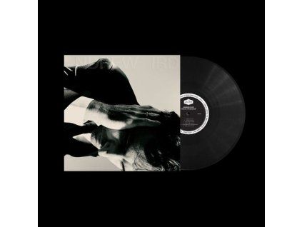 4076372 andrew bird inside problems lp