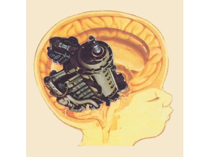 The Hidden Cameras - Origin:Orphan Remixed (feat. Pet Shop Boys) (LP)