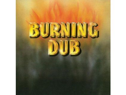 4077893 revolutionaries burning dub lp