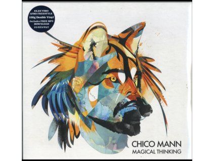 4078145 chico mann magical thinking lp