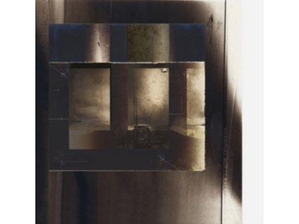 4078256 shampoo boy crack lp