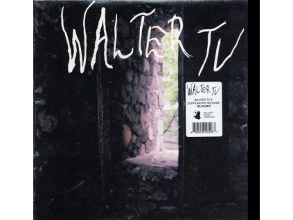 4078289 walter tv blessed lp