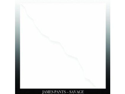 JAMES PANTS - Savage (LP)