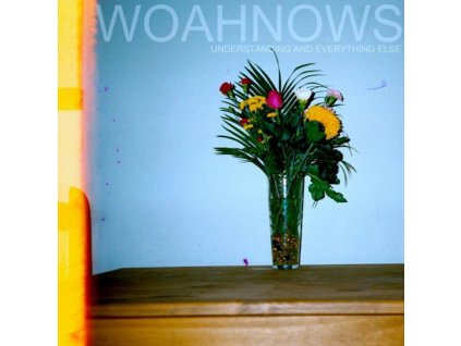 WOAHNOWS - Understanding And Everything Else (LP)