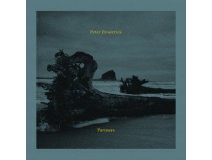 4078985 peter broderick partners lp