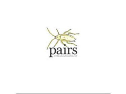 4079363 pairs if this cockroach doesnt die i will lp