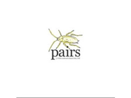 PAIRS - If This Cockroach DoesnT Die I Will (LP)