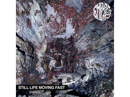 4080590 empress ad still life moving fast lp
