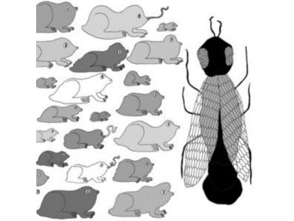 PET CROW - A Simple Guide To Small And Medium Pond Life (LP)