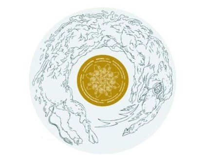 4082441 daniel david iivvi lp lp